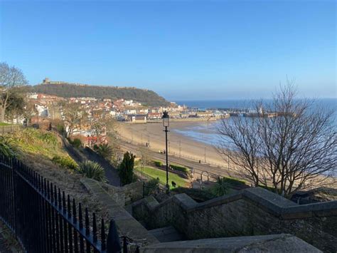 scarborough moan|scarborough moan website.